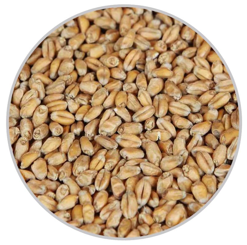 Пивоварний солод Wheat Pale (Weyermann) 25 кг